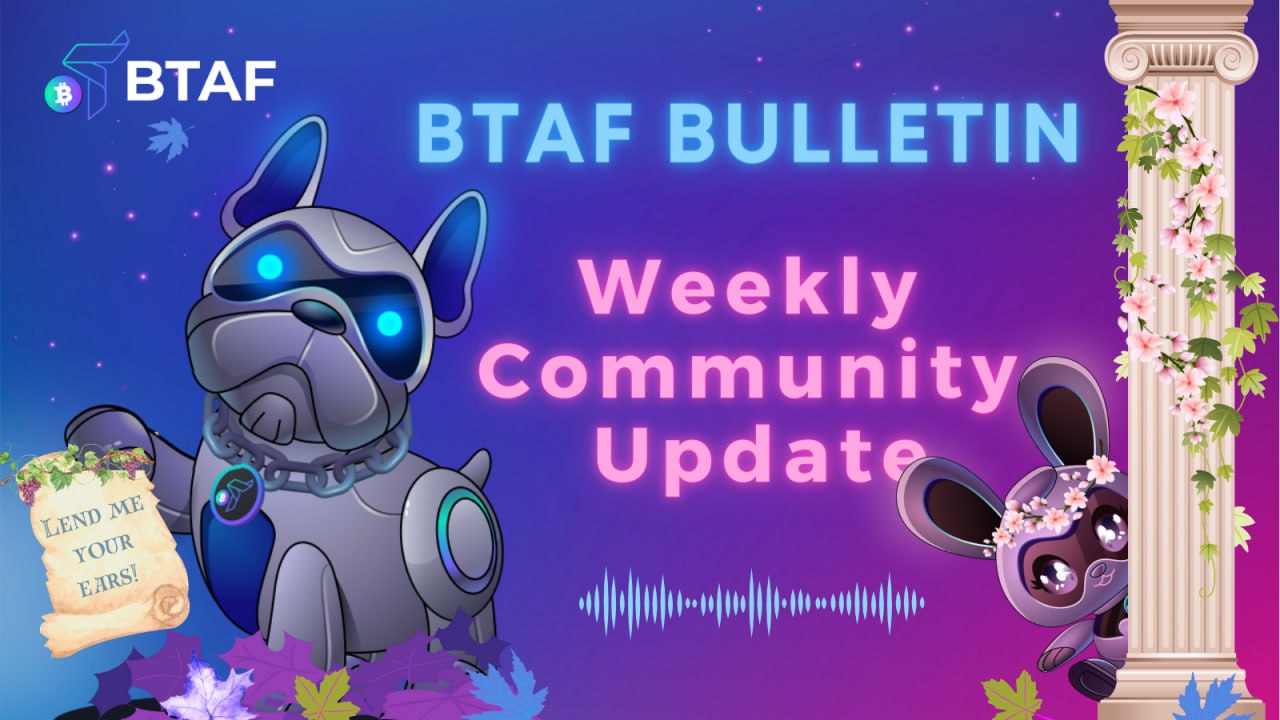 🐺 BTAF token weekly bulletin #37 – 15 September